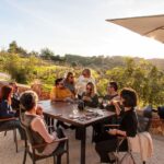 Porches: Algarve Vineyard Tour and Wine Tasting Experience - An In-Depth Look at the Algarve Vineyard Experience