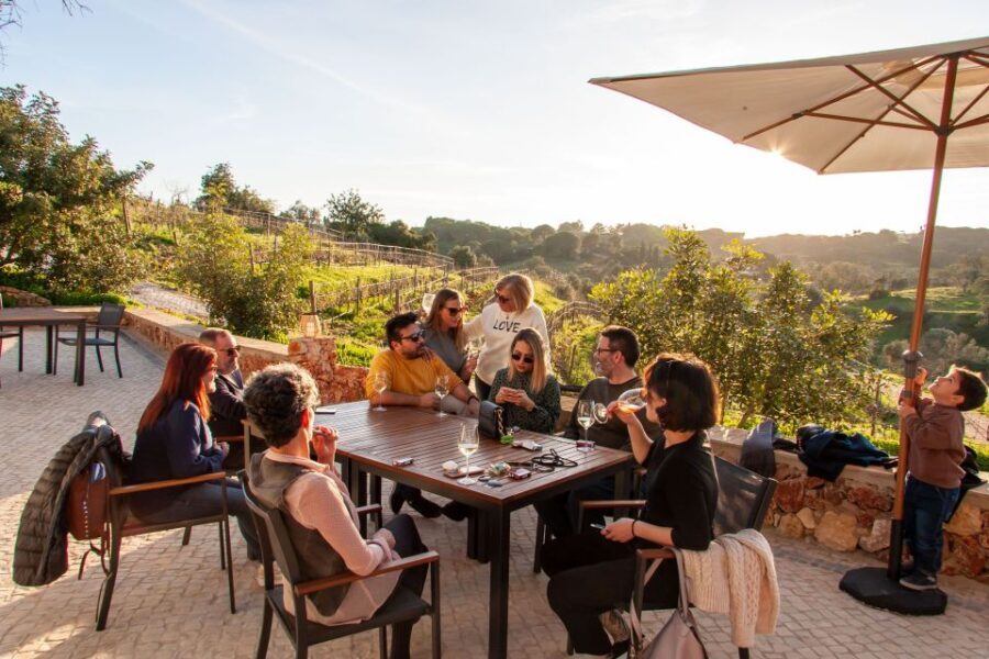 Porches: Algarve Vineyard Tour and Wine Tasting Experience - An In-Depth Look at the Algarve Vineyard Experience