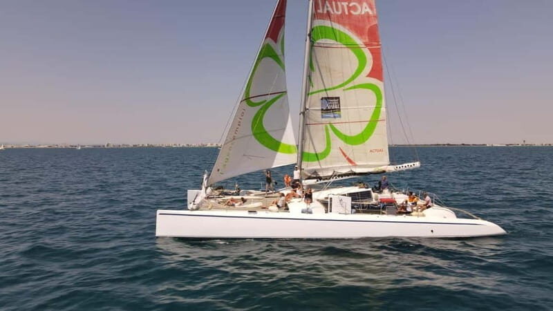 Port Camargue: Half-Day Sailing Tour on a Racing Catamaran - The Sum Up