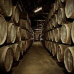 Port Wine Lodges Tour Including 7 Port Wine Tastings (English) - The Experience in Detail