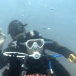 Portimão: Wreck Diving in the Ocean Revival Park - Final Thoughts