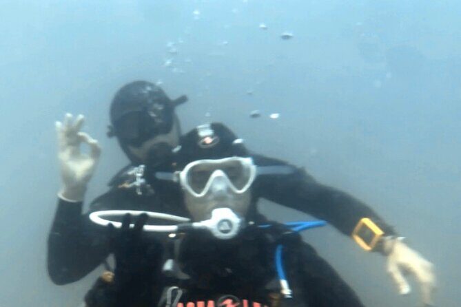 Portimão: Wreck Diving in the Ocean Revival Park - Final Thoughts