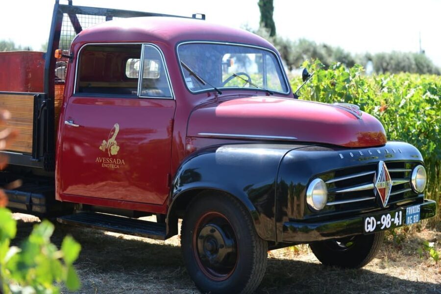 Porto: Douro Valley Day Trip with Lunch and Favaios Village - The Value of the Tour