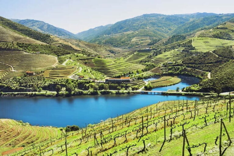 Porto: Douro Wine Tour with Lunch and River Cruise - Authenticity and Value