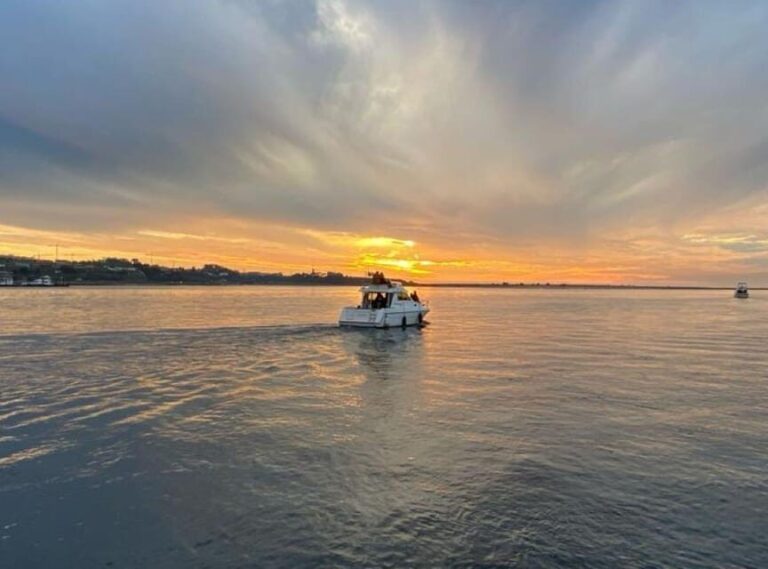 Porto: Private 6 Bridges Tour, welcome drink & sunset option - Why You’ll Love This Tour