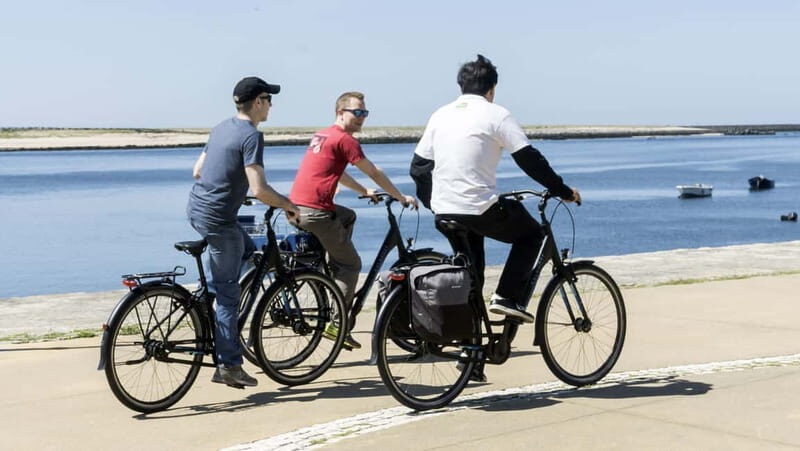 Porto Private E-Bike Tour: Douro River, Parks & Beaches - Who Will Love This Tour?