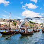 Porto Private Tour from Lisbon with Douro Cruise and Wine Tasting - The Experience: Why Travelers Love It