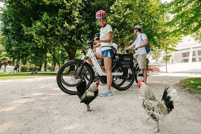 Porto Riverbank E-Bike Tour - Atlantic Coast, Gardens - Final Thoughts