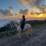 Porto Santo Island: Horse Riding - Key Points