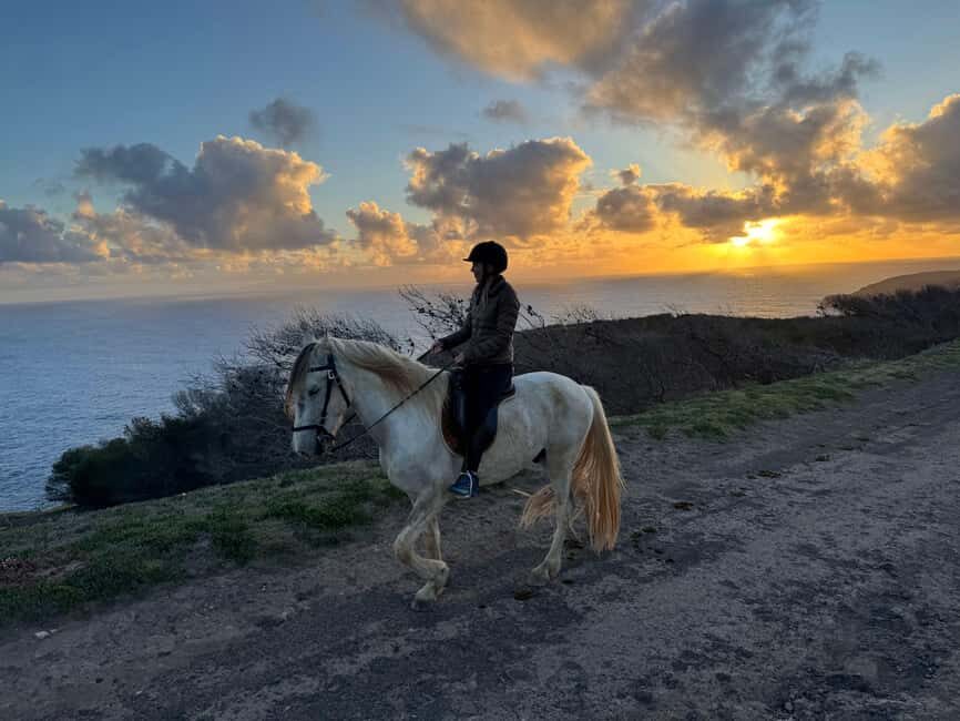 Porto Santo Island: Horse Riding - Key Points
