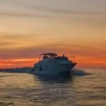 Porto SHARED Boat Tour: Bridges, River Mouth & SUNSET - Who Is This Tour Best Suited For?