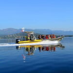 Porto-Vecchio : Discover Nature Through the Lavezzi Islands - Who Is This Tour Best For?