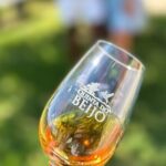 Porto Wine Tasting with GUIDED TOUR - Detailed Itinerary Breakdown