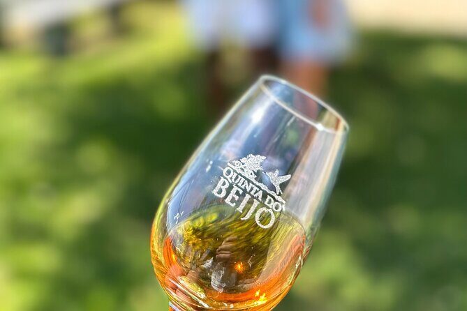 Porto Wine Tasting with GUIDED TOUR - Detailed Itinerary Breakdown