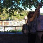 Portofino Boat and Walking Tour with Pesto Cooking & Lunch - Practical Tips for Travelers