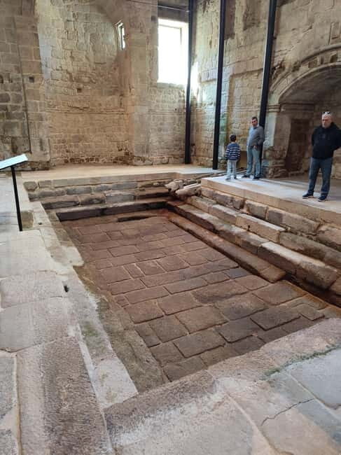 Portugal: Lafões Region Day Tour with Food and Wine Tasting - Exploring the Lafões Region: What the Tour Entails