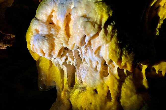 Postojna Cave Day Trip From Ljubljana - Potential Drawbacks and Considerations