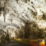 Postojna Cave with Train Ride and Predjama Castle Half Day Trip from Ljubljana - Who Is This Tour Best Suited For?