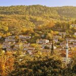 POTTERY PAINTING & WINE TASTING Tour from Kusadasi Port - Potential Drawbacks