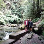 PR18 Levada do Rei with Local Guide - Who Should Consider This Tour?