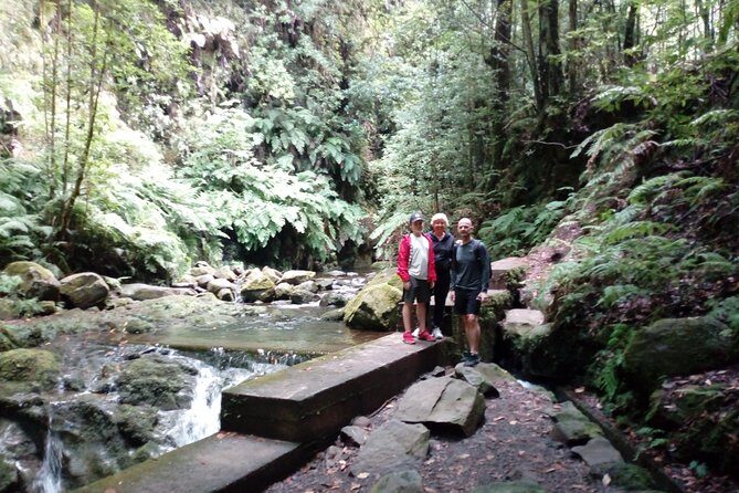 PR18 Levada do Rei with Local Guide - Who Should Consider This Tour?