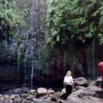 PR6 25 Fountains/Risco Levada Walk - Who Should Book This Tour?