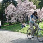 Prague "ALL-IN-ONE" City E-Bike Tour - The Itinerary: What to Expect