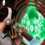 Prague Pilsner Urquell Experience with 3 Free Beer Tastings - Experience Highlights & Practicalities