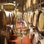 Prahova Salt Mine & Wine Tasting - Private day tour from Bucharest - Who Should Consider This Tour?