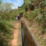 Prazeres: Full-Day Nature Walk - Who Guides the Tour?