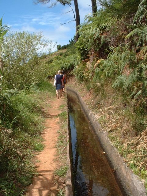 Prazeres: Full-Day Nature Walk - Who Guides the Tour?