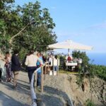 Premium Ischia Wine Tasting Experience with Transfer Included - Practical Details: What to Expect