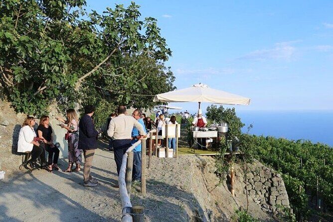 Premium Ischia Wine Tasting Experience with Transfer Included - Practical Details: What to Expect