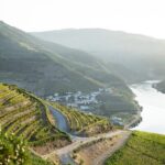 Premium Private Douro Tour: 2 Wineries with Tastings & Cruise - Authentic Insights from Reviewer Experiences