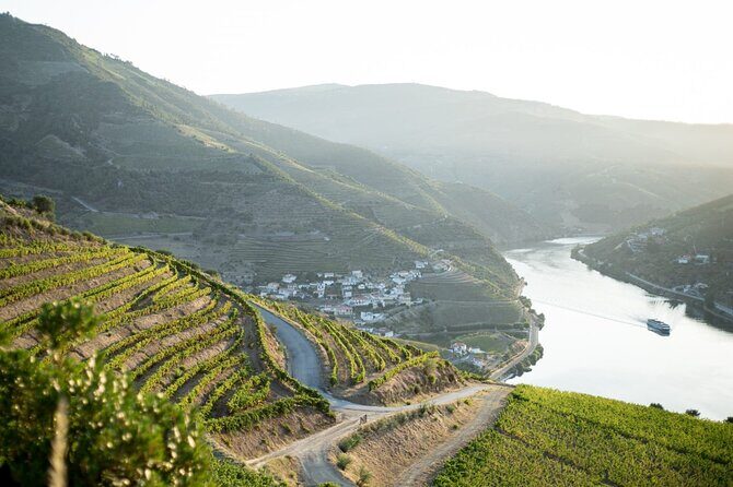 Premium Private Douro Tour: 2 Wineries with Tastings & Cruise - Authentic Insights from Reviewer Experiences
