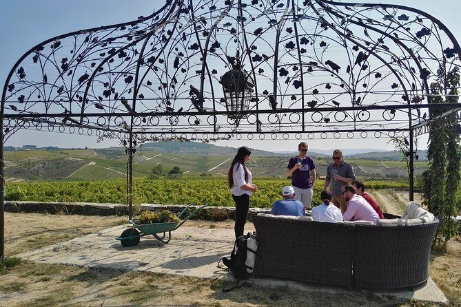 Premium Private Douro Tour: 3 Wineries with Tastings & Lunch - Who Will Love This Tour?