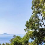 Premium private trip to Gibraltar from Seville (multiple options) - The Rock Tour: Highlights Inside Gibraltar