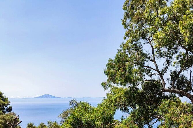 Premium private trip to Gibraltar from Seville (multiple options) - The Rock Tour: Highlights Inside Gibraltar