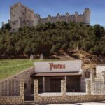 Premium Ribera del Duero tour with winemaker-guide - The Highlights of the Itinerary