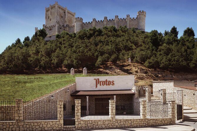 Premium Ribera del Duero tour with winemaker-guide - The Highlights of the Itinerary