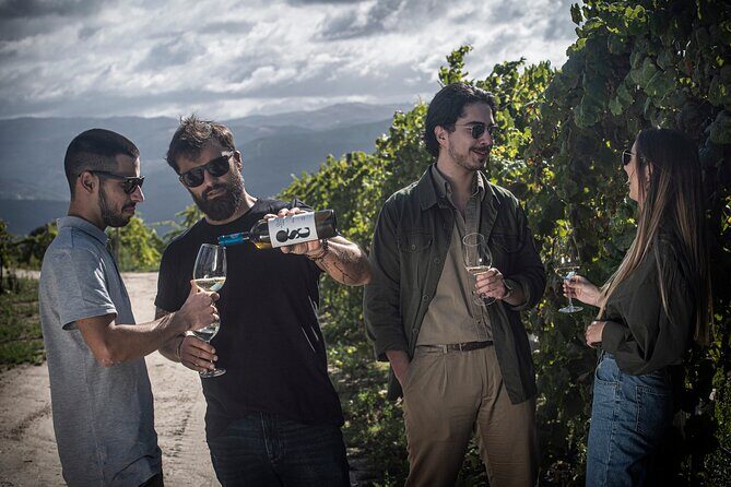 Premium Tasting | Quinta de Santa Cristina Vinho Verde - Final Thoughts