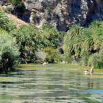 Preveli Beach and Damnoni Kourtaliotikowaterfalls from Rethymno - What Makes This Tour Stand Out?