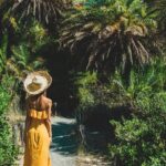 Preveli Beach & Palm Forest :Full-Day Tour with Lunch Box - The Itinerary in Detail: What You Can Expect