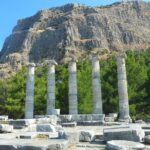 Priene, Miletus, and Didyma Day Tour from Kusadasi - The Transport: Minibus Comfort