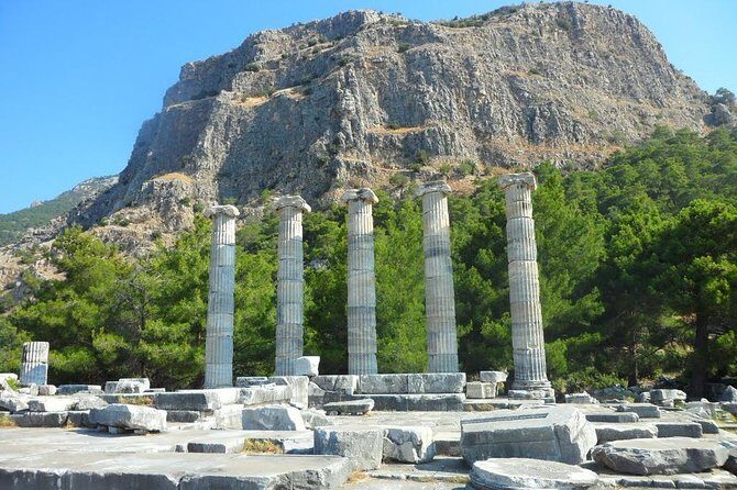 Priene, Miletus, and Didyma Day Tour from Kusadasi - The Transport: Minibus Comfort