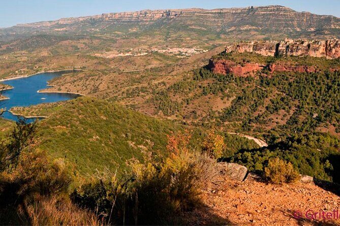 Priorat Wine Tasting Tour from Salou with hotel pickup - An In-Depth Look at the Priorat Wine Tasting Tour