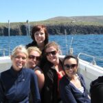 Private 1-Hour Guided Boat Tour in Dingle Peninsula - Itinerary Breakdown