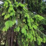 Private 2-Day Horseback Riding in Rhodope Mountains from Plovdiv - What’s Included and What to Consider