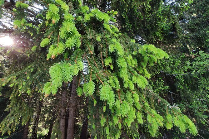 Private 2-Day Horseback Riding in Rhodope Mountains from Plovdiv - What’s Included and What to Consider