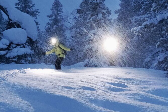 Private 2-Hour Snowboarding in Levi - Who Will Love This Tour?